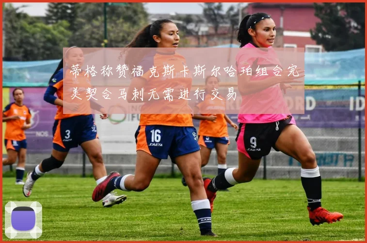 蒂格称赞福克斯卡斯尔哈珀组合完美契合马刺无需进行交易