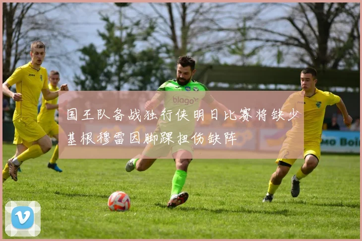 国王队备战独行侠明日比赛将缺少基根穆雷因脚踝扭伤缺阵