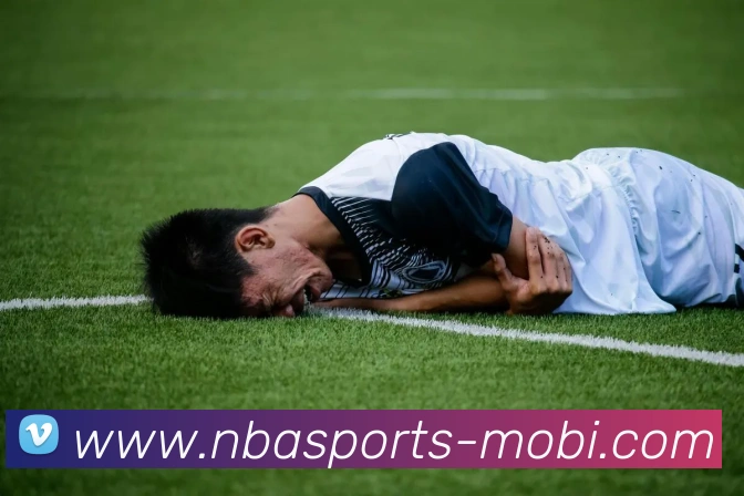 App Interface Preview